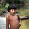 Awa Tribe