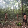 Awa Tribe